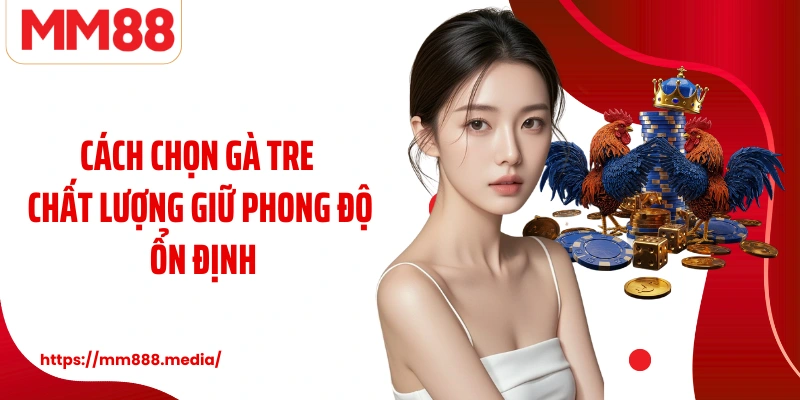 Cách chọn gà tre chất lượng giữ phong độ ổn định