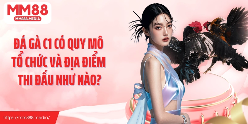 Đá gà C1 có quy mô tổ chức và địa điểm thi đấu như nào?